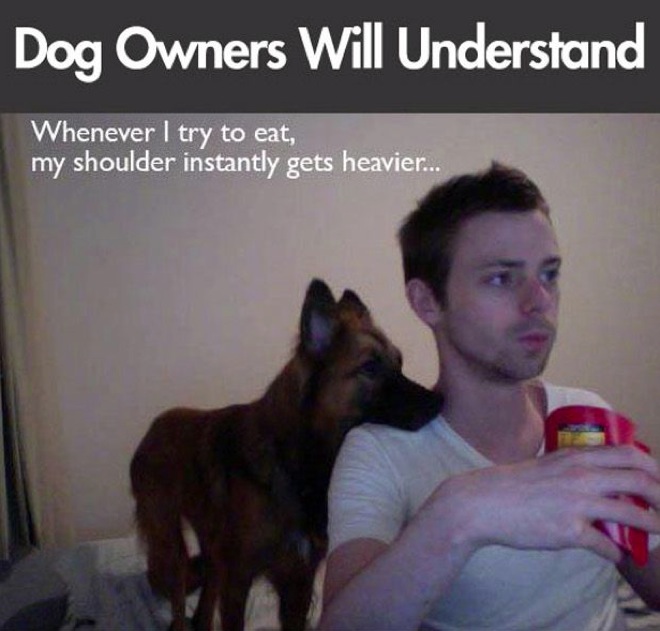 hilarious-dog-owners-situations-1.jpg