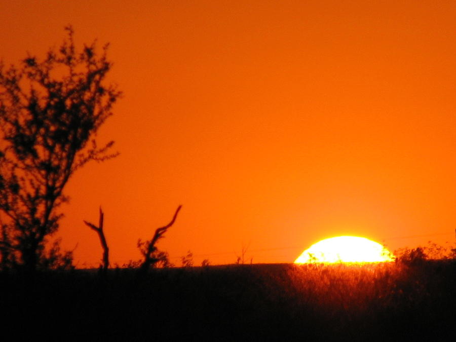 austin-texas-burnt-orange-sunset-shawn-hughes.jpg