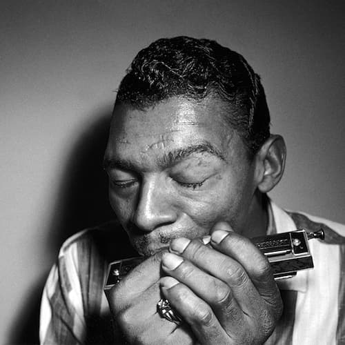 640-king-of-blues-little-walter@2x.jpg