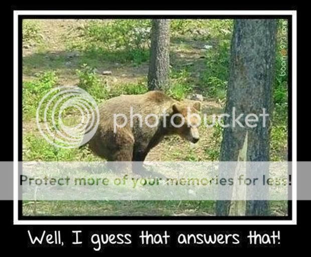 does-a-bear-shit-in-the-woods-funny-pictures_zps669398ad.jpg