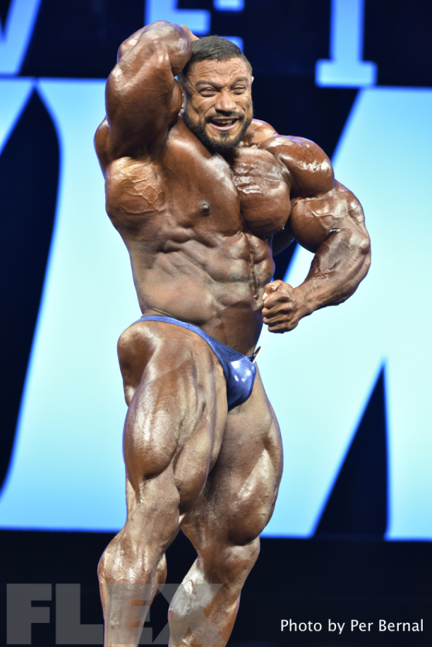 roelly1.png
