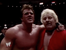 brutus beefcake wrestling GIF by WWE